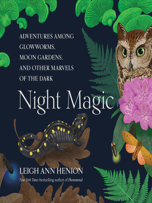 Title details for Night Magic by Leigh Ann Henion - Wait list